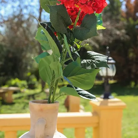 Casa Elizabeth Villa Javea